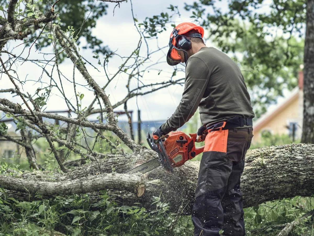 Felling a Tree