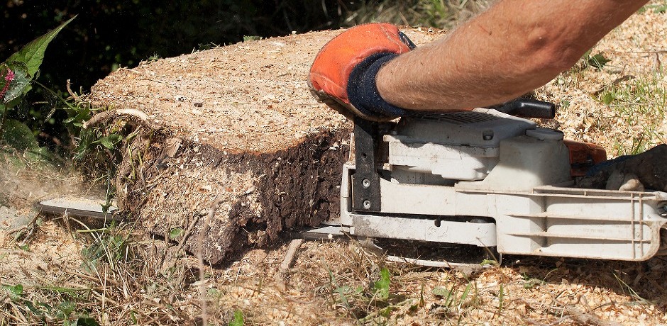 Removing Tree Stumps