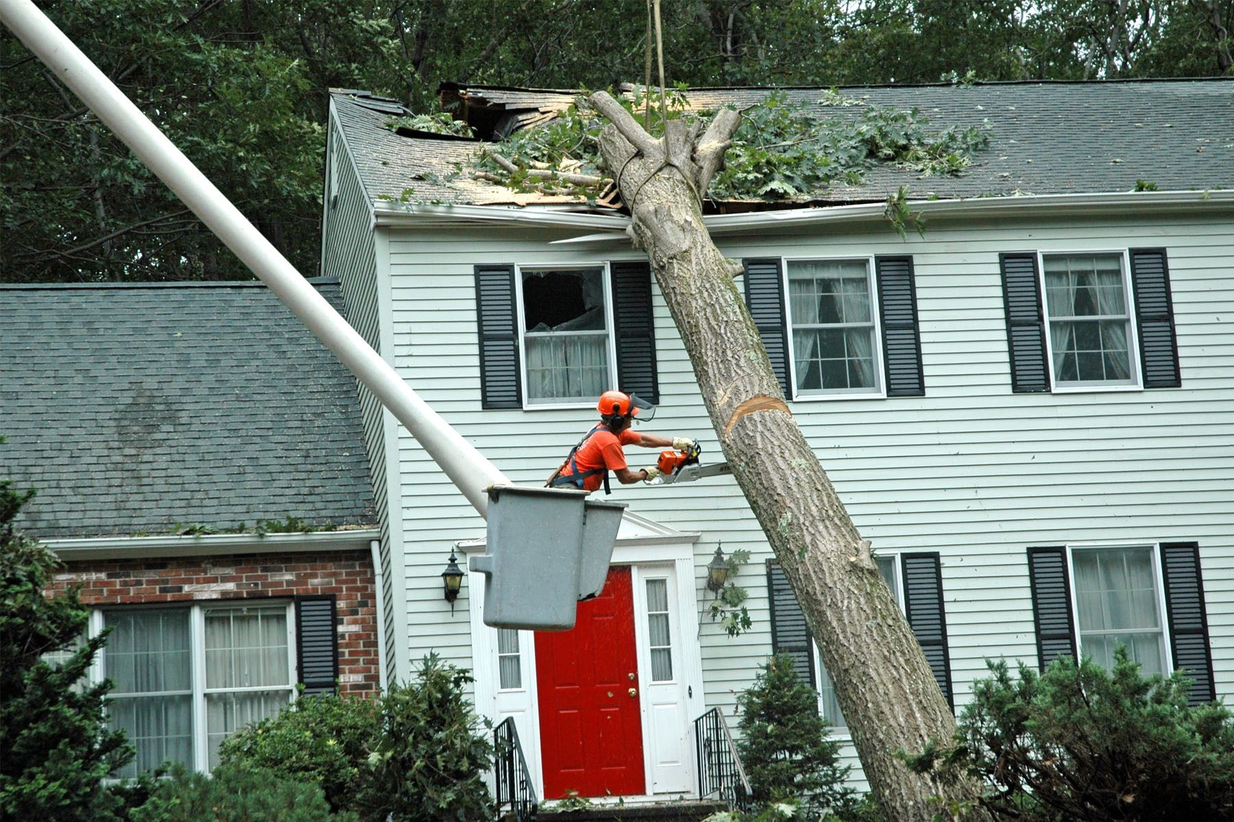 Safety Protocols for Emergency Tree Removal